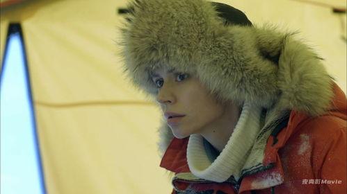 极寒潜袭,揭秘气候变暖背后的危机