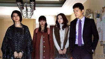 无懈可击之高手如林,无懈可击的智慧对决